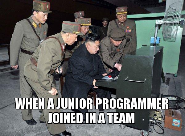 meme: when junior joined to the team, everyone needs to look at his job